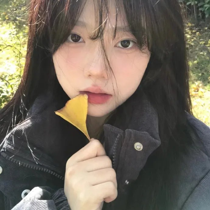 隐形的翅膀