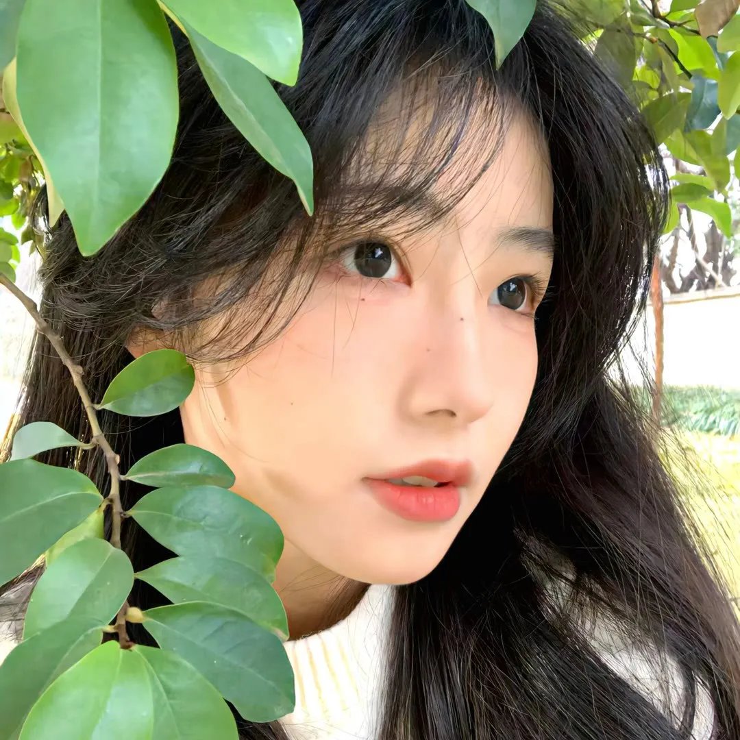 战火中的青春
